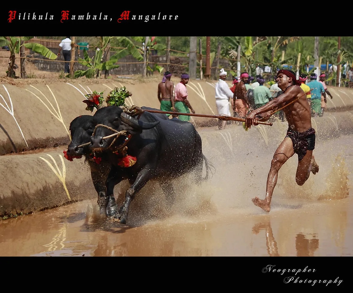Pilikula Nisargadhama