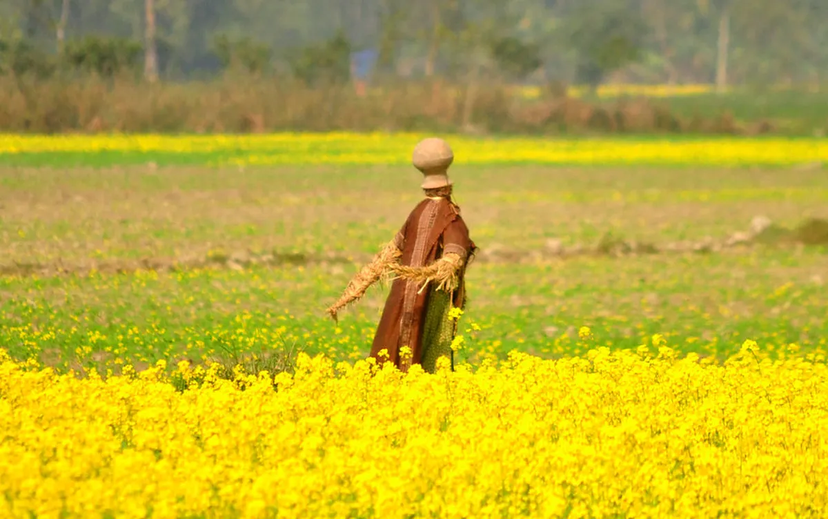 Pobitora Wildlife Sanctuary