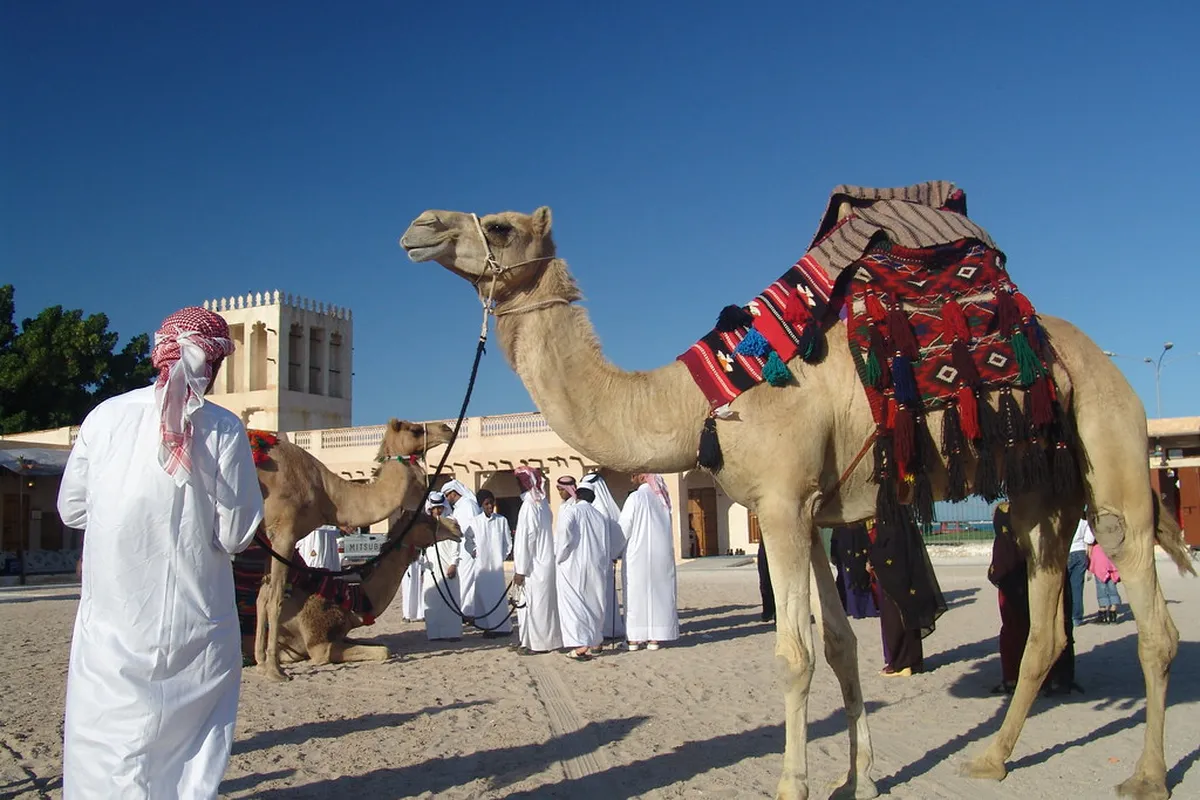 Qatari Village