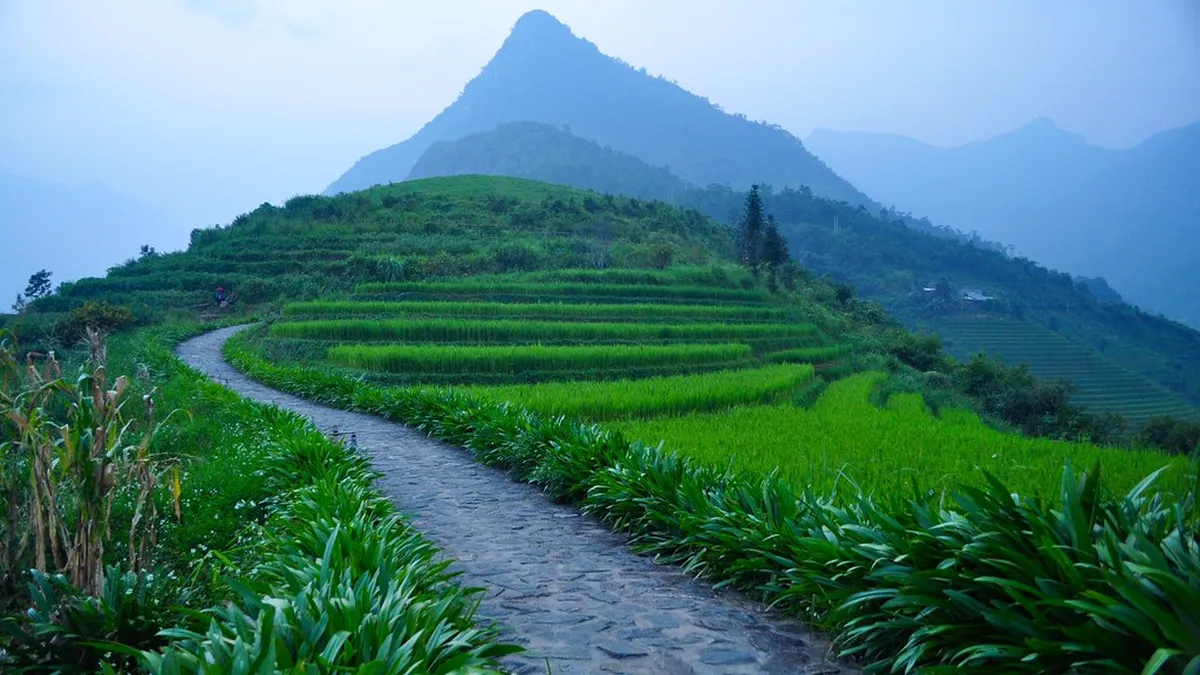 Introduction to sapa experiences
