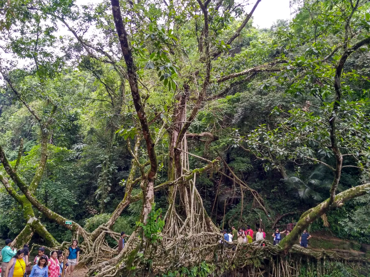 Introduction to shillong day tours