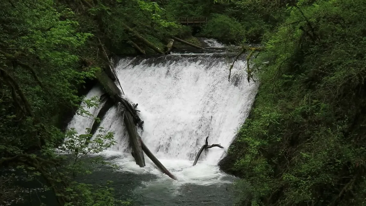 Silver Waterfall