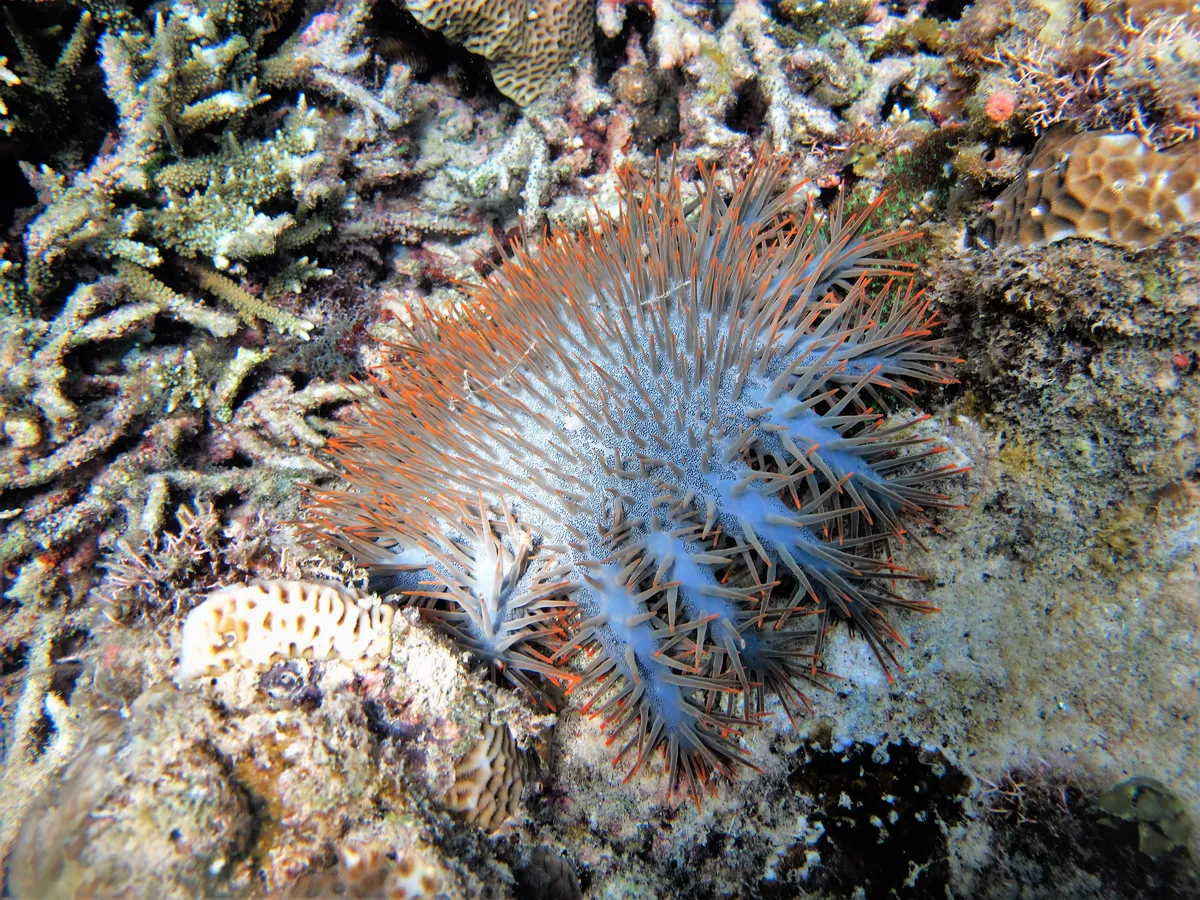 Spermonde Islands