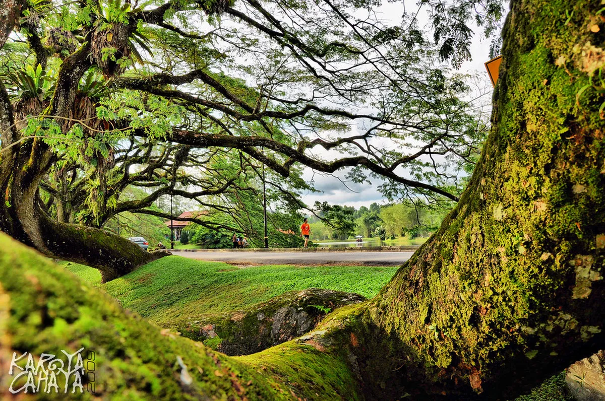 Introduction to taiping attractions