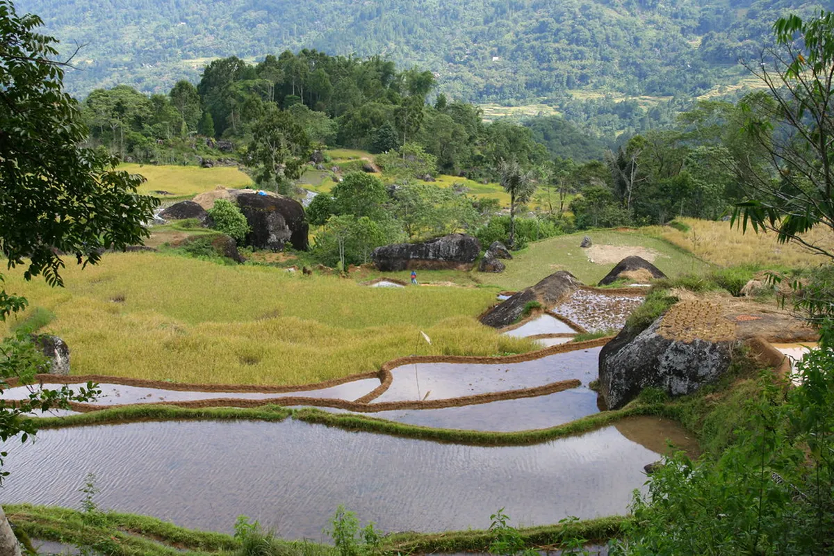 Tana Toraja
