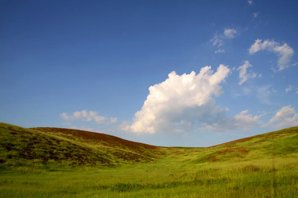 Teletubbies Hill