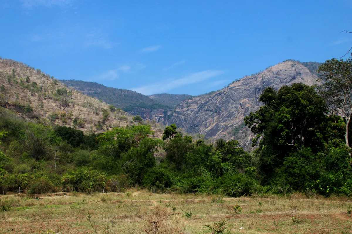 Thalaiyar Falls (Rat Tail Falls)