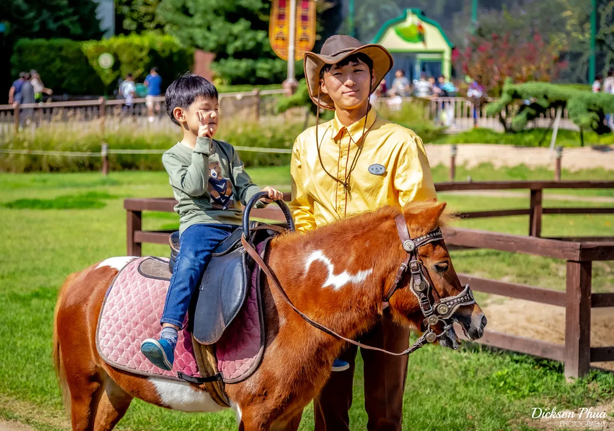 Introduction to things to do in seoul