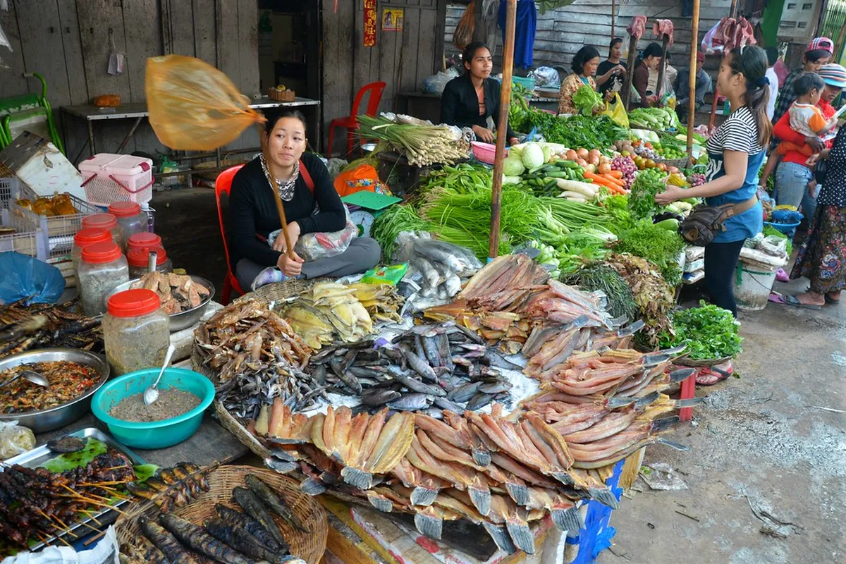 Introduction to things to do in siem reap