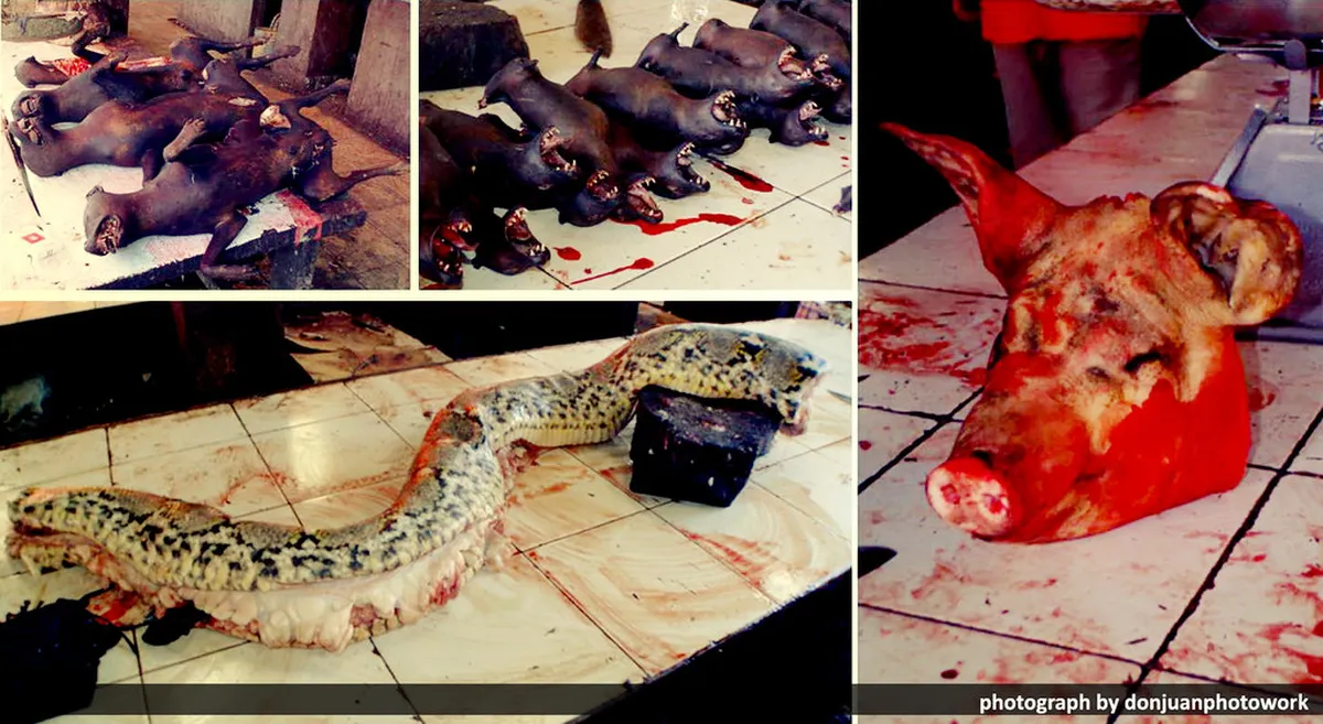 Tomohon Traditional Market