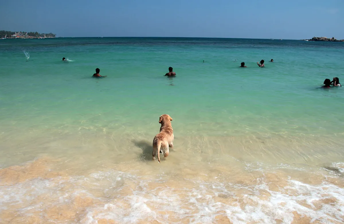 Unawatuna