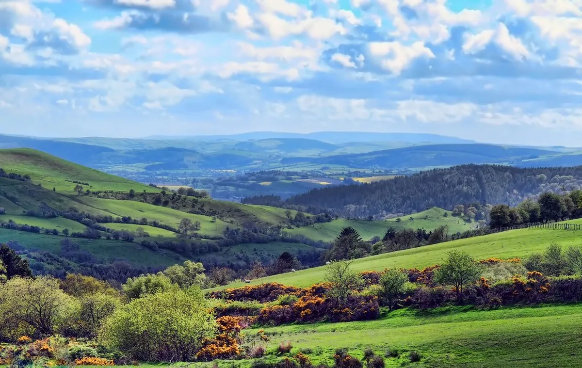 Valley of Love