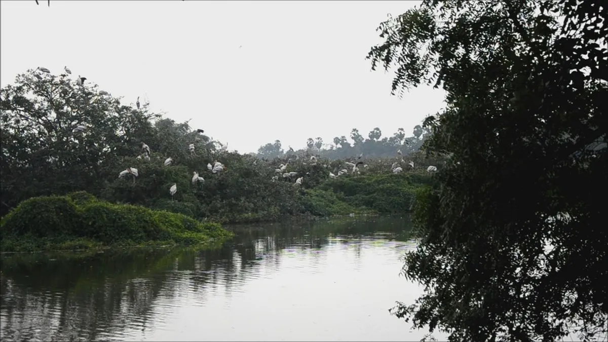 Vedanthangal