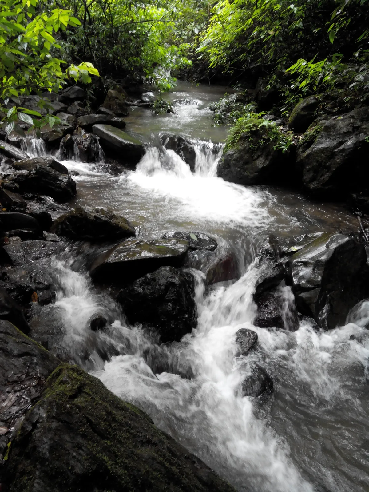 Vibhooti Falls