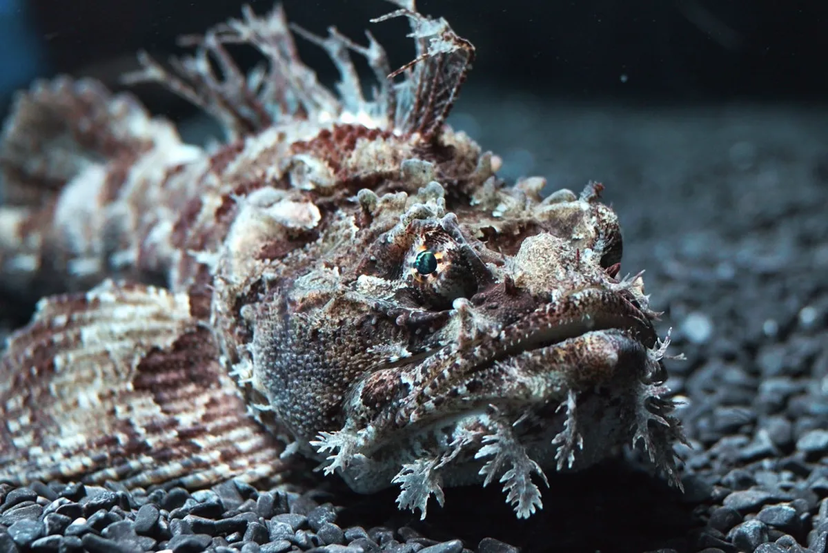 Vladivostok Oceanarium