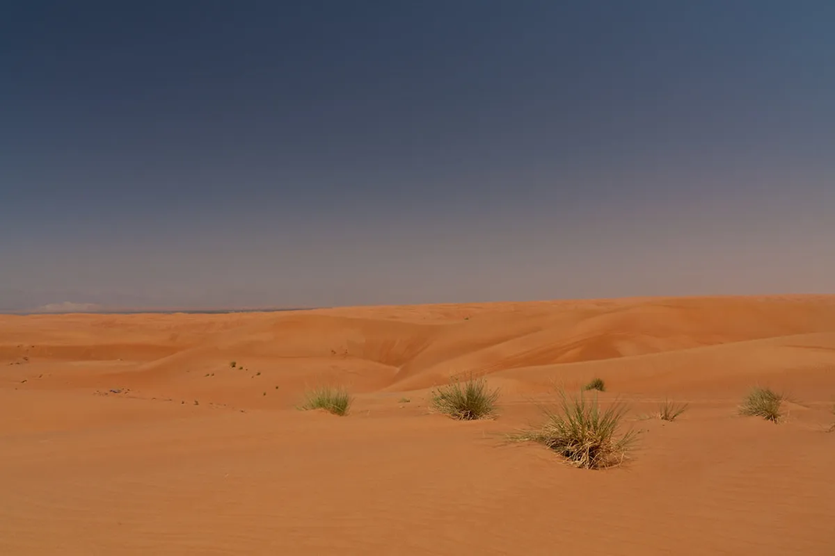 Wahiba Sands
