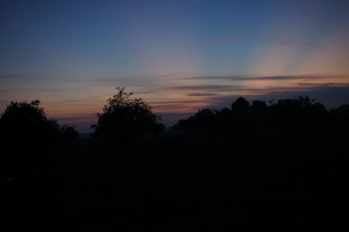 Yala National Park